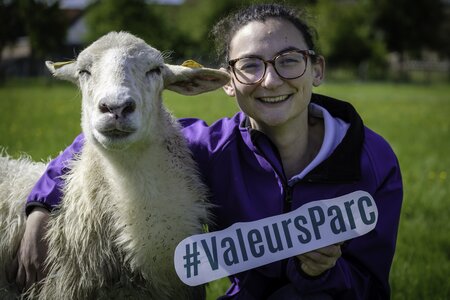 Création d'une carte postale Marque Valeurs Parc – Fromages et produits laitiers - Brebis : sondage choix photographie, Brebis de Pauline - 20 mai 2021-23