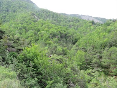 Neyrac - Piégut - St Colomban, IMG_9992