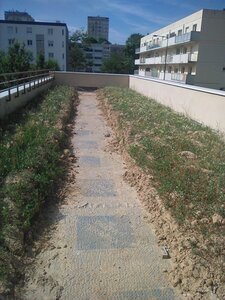 chantier KOSMO le 23-06-2023, toit-terrasse où la nature  re prend ses droits