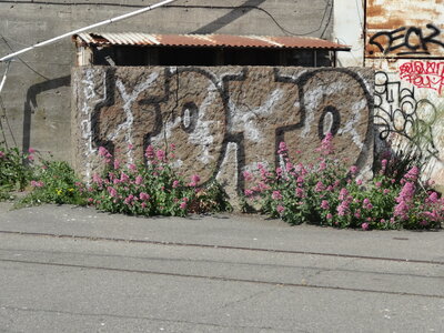 Streetart Port de Lorient,  28 mai 2023<br>@copyleft <a href=https://www.le-fab-lab.com>Le Fab'Blab</a> Licence Art Libre, streetart-lorient-2023-05-28-45