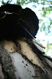 Makro Poètree , IMG_4320