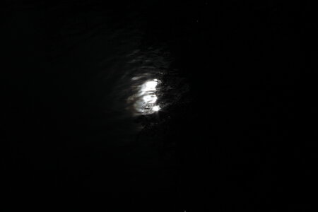 Dark'n white , IMG_0315