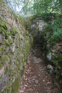 20230623Tranchées Sud du Hartmannswillerkopf _ Wattwiller, IMG_5018_Tranchée de la Suisse Lippique