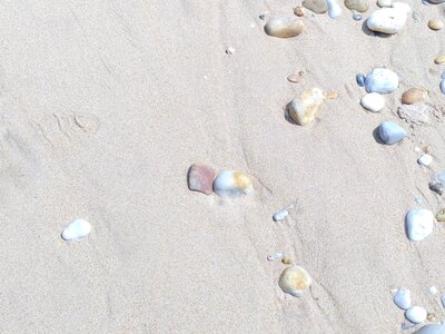 Grande plage presqu’île de Gavres, 19 mai 2023<br>@copyleft <a href=https://www.le-fab-lab.com>Le Fab'Blab</a> Licence Art Libre, presqu-ile-gavres-2023-05-19-05