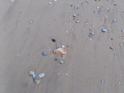 Grande plage presqu’île de Gavres, 19 mai 2023<br>@copyleft <a href=https://www.le-fab-lab.com>Le Fab'Blab</a> Licence Art Libre, presqu-ile-gavres-2023-05-19-14