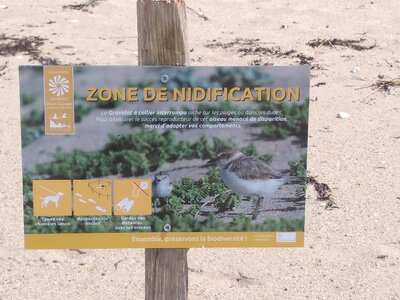 Grande plage presqu’île de Gavres, 19 mai 2023<br>@copyleft <a href=https://www.le-fab-lab.com>Le Fab'Blab</a> Licence Art Libre, presqu-ile-gavres-2023-05-19-23