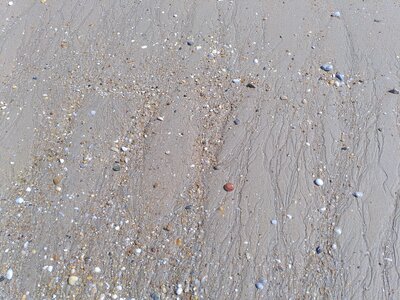 Grande plage presqu’île de Gavres, 19 mai 2023<br>@copyleft <a href=https://www.le-fab-lab.com>Le Fab'Blab</a> Licence Art Libre, presqu-ile-gavres-2023-05-19-25