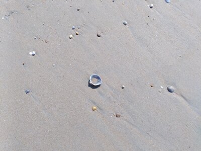 Grande plage presqu’île de Gavres, 19 mai 2023<br>@copyleft <a href=https://www.le-fab-lab.com>Le Fab'Blab</a> Licence Art Libre, presqu-ile-gavres-2023-05-19-36