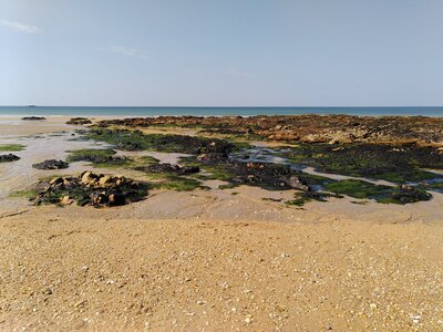 Grande plage presqu’île de Gavres, 19 mai 2023<br>@copyleft <a href=https://www.le-fab-lab.com>Le Fab'Blab</a> Licence Art Libre, presqu-ile-gavres-2023-05-19-46