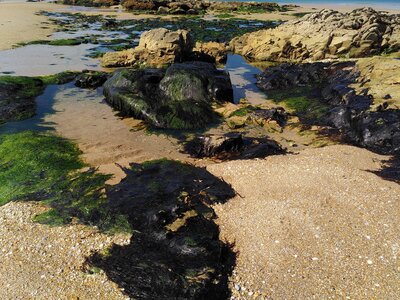 Grande plage presqu’île de Gavres, 19 mai 2023<br>@copyleft <a href=https://www.le-fab-lab.com>Le Fab'Blab</a> Licence Art Libre, presqu-ile-gavres-2023-05-19-49