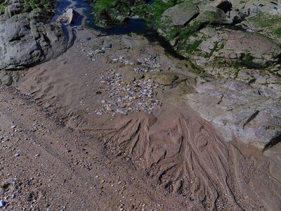 Grande plage presqu’île de Gavres, 19 mai 2023<br>@copyleft <a href=https://www.le-fab-lab.com>Le Fab'Blab</a> Licence Art Libre, presqu-ile-gavres-2023-05-19-52