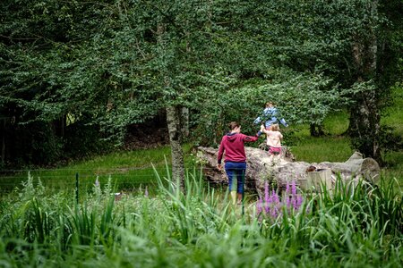 Création d'une carte postale Marque Valeurs Parc – Hébergements : sondage choix photographie, Artisans - 4-32