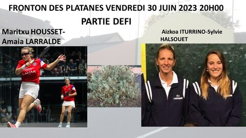 Defi des platanes 2023-1, Partie defi 2023-1