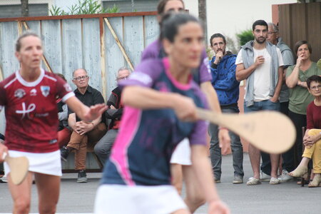 Defi des platanes 2023-1, IMG_3004