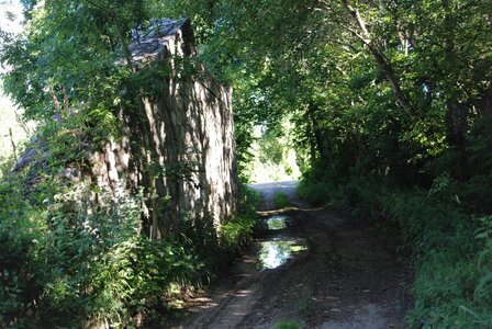 Boucle pont de la Guinguette-St Eusèbe-Beaurepaire Croix de la Clappe le 04 juillet 2023, DSC_0826