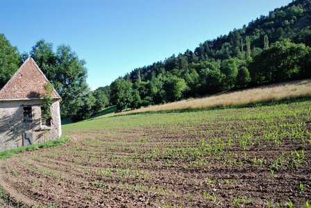 Boucle pont de la Guinguette-St Eusèbe-Beaurepaire Croix de la Clappe le 04 juillet 2023, DSC_0828