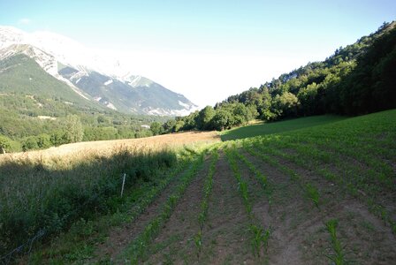 Boucle pont de la Guinguette-St Eusèbe-Beaurepaire Croix de la Clappe le 04 juillet 2023, DSC_0830