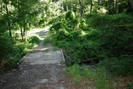 Boucle pont de la Guinguette-St Eusèbe-Beaurepaire Croix de la Clappe le 04 juillet 2023, DSC_0832