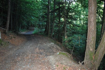 Boucle pont de la Guinguette-St Eusèbe-Beaurepaire Croix de la Clappe le 04 juillet 2023, DSC_0833