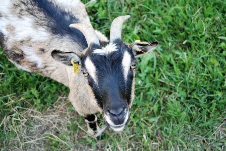 Boucle pont de la Guinguette-St Eusèbe-Beaurepaire Croix de la Clappe le 04 juillet 2023, DSC_0847
