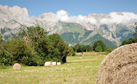 Boucle pont de la Guinguette-St Eusèbe-Beaurepaire Croix de la Clappe le 04 juillet 2023, DSC_0851