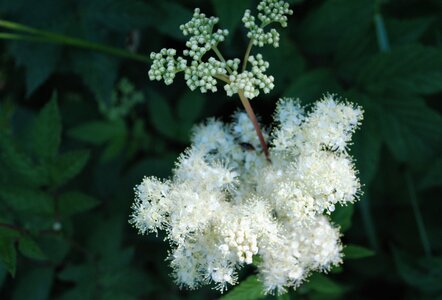 Boucle pont de la Guinguette-St Eusèbe-Beaurepaire Croix de la Clappe le 04 juillet 2023, DSC_0861