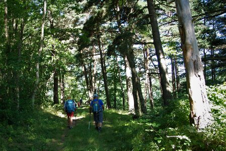 Boucle pont de la Guinguette-St Eusèbe-Beaurepaire Croix de la Clappe le 04 juillet 2023, DSC_0868