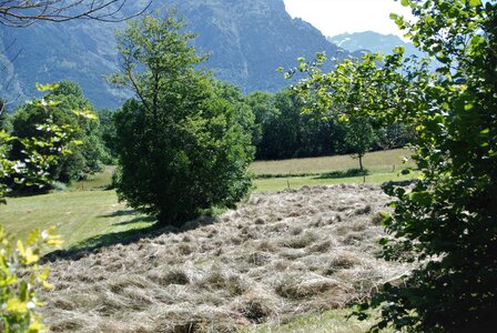 Boucle pont de la Guinguette-St Eusèbe-Beaurepaire Croix de la Clappe le 04 juillet 2023, DSC_0885