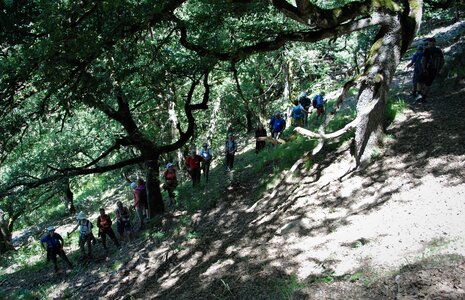 Boucle pont de la Guinguette-St Eusèbe-Beaurepaire Croix de la Clappe le 04 juillet 2023, DSC_0890
