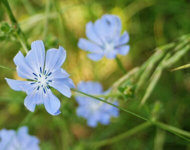 Boucle pont de la Guinguette-St Eusèbe-Beaurepaire Croix de la Clappe le 04 juillet 2023, DSC_0898