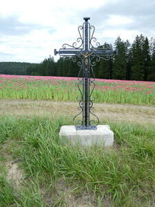 Champ de pavots, croix