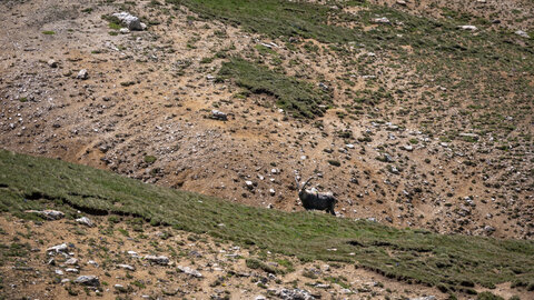 col et lacs du Roure-4-07-2023, sRVB-1070225
