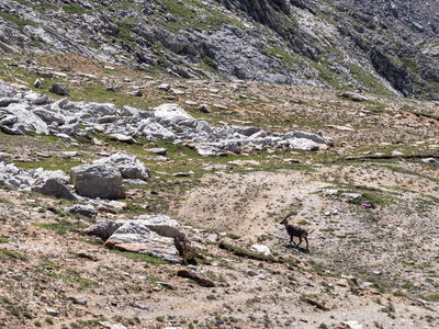 col et lacs du Roure-4-07-2023, sRVB-1070226