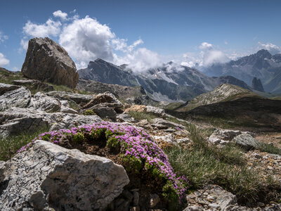col et lacs du Roure-4-07-2023, sRVB-1070227