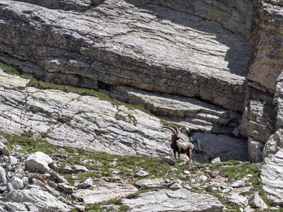 col et lacs du Roure-4-07-2023, sRVB-1070230