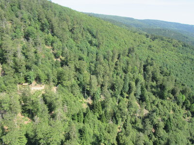 Breitenbach 9 juillet, IMG_7009