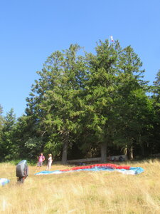 Breitenbach 9 juillet, IMG_6947