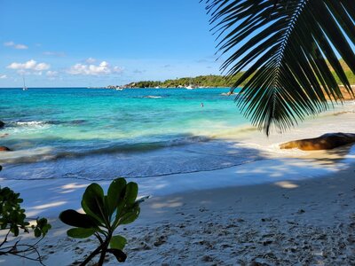 La Gazette de Justine, 7_Seychelles1