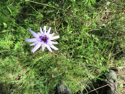 Boucle  Le Petit Vaux - Col des Chenilles, IMG_0080