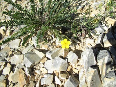 Boucle  Le Petit Vaux - Col des Chenilles, IMG_4487