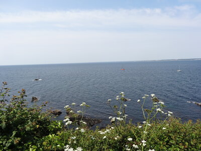 Île de Groix, de Port Tudy à Locmaria, 27 mai 2023<br>@copyleft <a href=https://www.le-fab-lab.com>Le Fab'Blab</a> Licence Art Libre, 2023-05-23-Groix-Locmaria-PortTudy-06