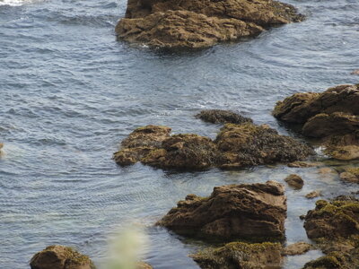 Île de Groix, de Port Tudy à Locmaria, 27 mai 2023<br>@copyleft <a href=https://www.le-fab-lab.com>Le Fab'Blab</a> Licence Art Libre, 2023-05-23-Groix-PortTudy-Locmaria-06