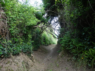 Île de Groix, de Port Tudy à Locmaria, 27 mai 2023<br>@copyleft <a href=https://www.le-fab-lab.com>Le Fab'Blab</a> Licence Art Libre, 2023-05-23-Groix-PortTudy-Locmaria-12