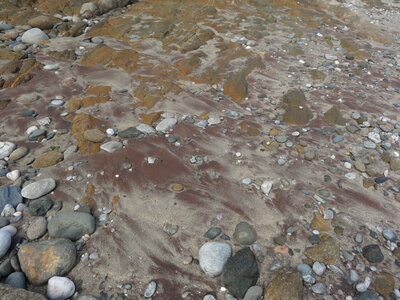 Île de Groix, de Port Tudy à Locmaria, 27 mai 2023<br>@copyleft <a href=https://www.le-fab-lab.com>Le Fab'Blab</a> Licence Art Libre, 2023-05-23-Groix-PortTudy-Locmaria-20