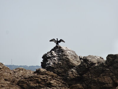 Île de Groix, de Port Tudy à Locmaria, 27 mai 2023<br>@copyleft <a href=https://www.le-fab-lab.com>Le Fab'Blab</a> Licence Art Libre, 2023-05-23-Groix-PortTudy-Locmaria-45