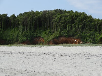 Île de Groix, de Port Tudy à Locmaria, 27 mai 2023<br>@copyleft <a href=https://www.le-fab-lab.com>Le Fab'Blab</a> Licence Art Libre, 2023-05-23-Groix-PortTudy-Locmaria-72