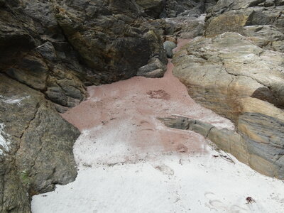 Île de Groix, de Port Tudy à Locmaria, 27 mai 2023<br>@copyleft <a href=https://www.le-fab-lab.com>Le Fab'Blab</a> Licence Art Libre, 2023-05-23-Groix-PortTudy-Locmaria-80