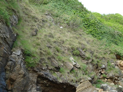 Île de Groix, de Port Tudy à Locmaria, 27 mai 2023<br>@copyleft <a href=https://www.le-fab-lab.com>Le Fab'Blab</a> Licence Art Libre, 2023-05-23-Groix-PortTudy-Locmaria-81