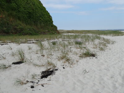 Île de Groix, de Port Tudy à Locmaria, 27 mai 2023<br>@copyleft <a href=https://www.le-fab-lab.com>Le Fab'Blab</a> Licence Art Libre, 2023-05-23-Groix-PortTudy-Locmaria-86