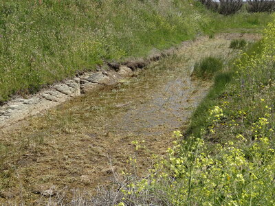 Île de Groix, de Port Tudy à Locmaria, 27 mai 2023<br>@copyleft <a href=https://www.le-fab-lab.com>Le Fab'Blab</a> Licence Art Libre, 2023-05-23-Groix-PortTudy-Locmaria-136